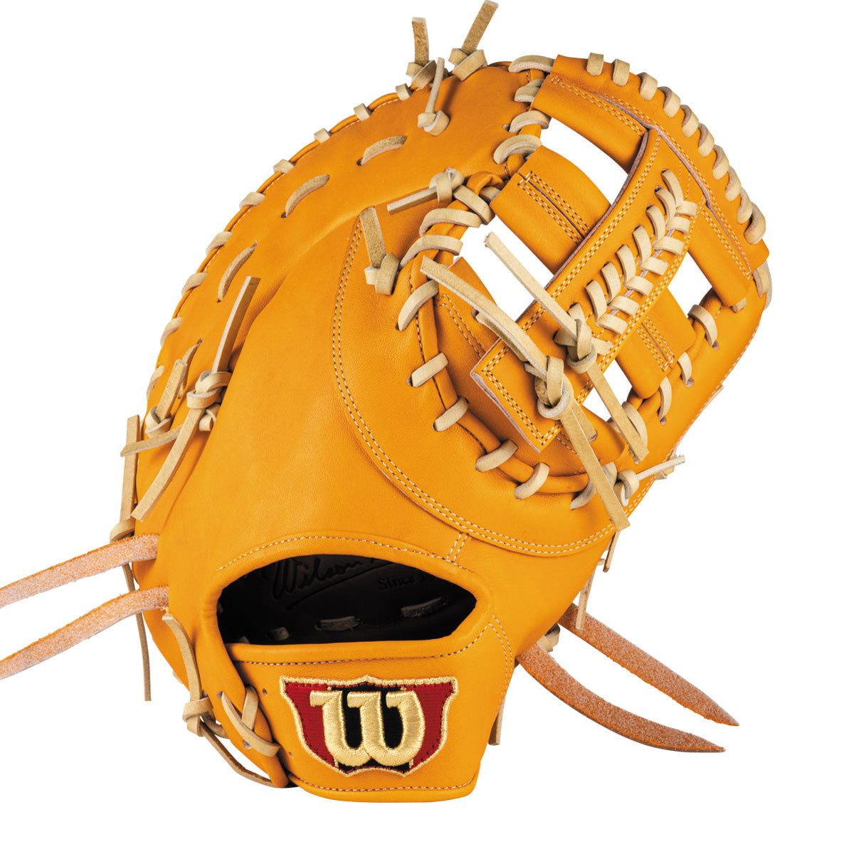 硬式用 Wilson Staff 一塁手用 39T型