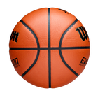 EVOLUTION JBA検定球 - ブラック