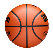 EVOLUTION JBA検定球 - ブラック