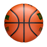 EVOLUTION JBA検定球 - グリーン