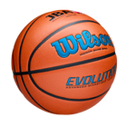 EVOLUTION JBA検定球 - ブルー