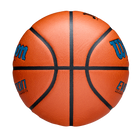 EVOLUTION JBA検定球 - ブルー