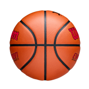 EVOLUTION JBA検定球 - レッド