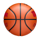 EVOLUTION JBA検定球 - レッド