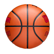 EVOLUTION JBA検定球 - レッド