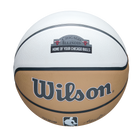 2024 NBA TEAM CITY EDITION ICONシリーズ - CHI ブルズ 7号 ラバー