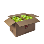 TRINITI CLUB テニスボール 1箱72球入り