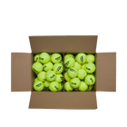 TRINITI CLUB テニスボール 1箱72球入り