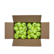 TRINITI CLUB テニスボール 1箱72球入り