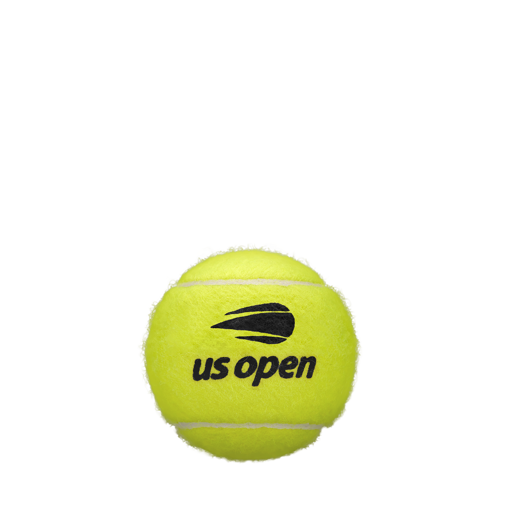 US OPEN EXTRA DUTY テニスボール