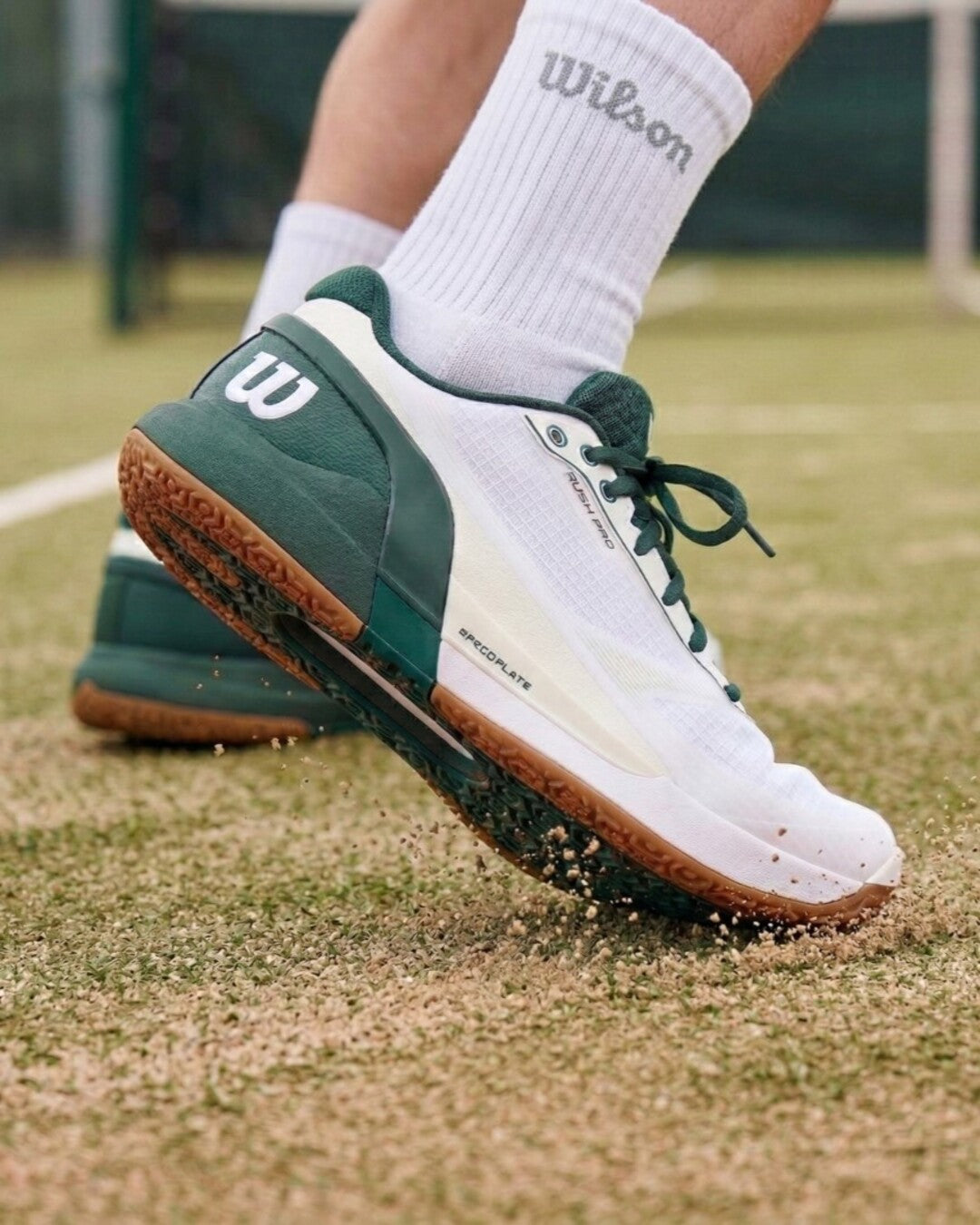 RUSH PRO 5 OMNI - White/Sycamore/Gum1a by Wilson Japan Footwear
