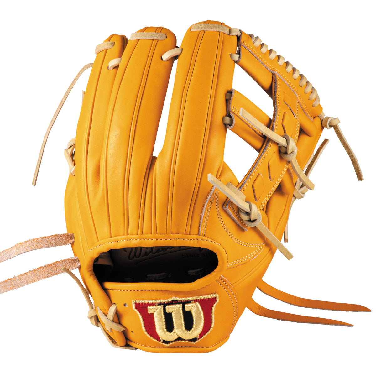 硬式用 Wilson Staff DUAL 内野手用 27型