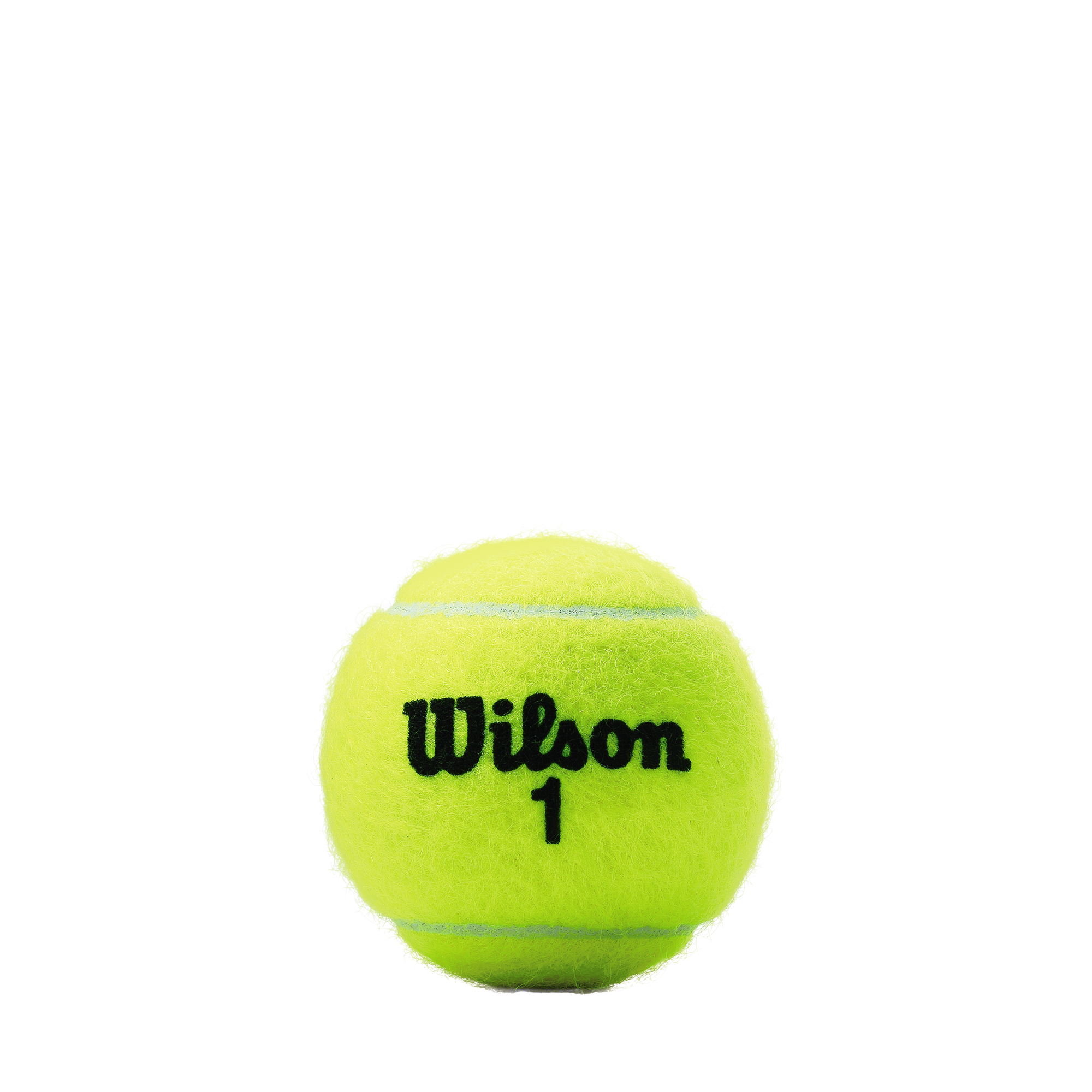 CHAMPIONSHIP EXTRA DUTY テニスボール by Wilson Japan Racquet