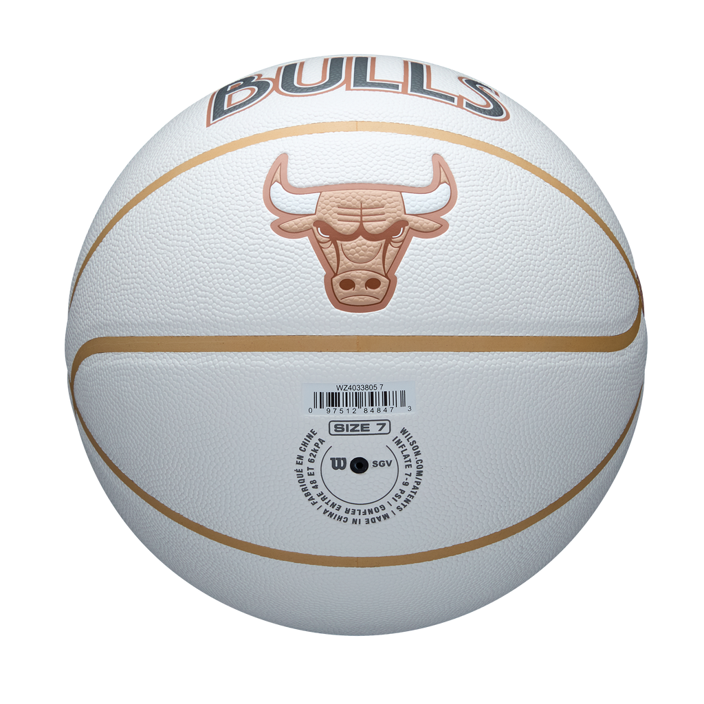 ヘッドライナーズ NBA 21体 ロッドマン ピッペン バークレー ヘッドライナーズ NBA 21体 ロッドマン ピッペン バークレー