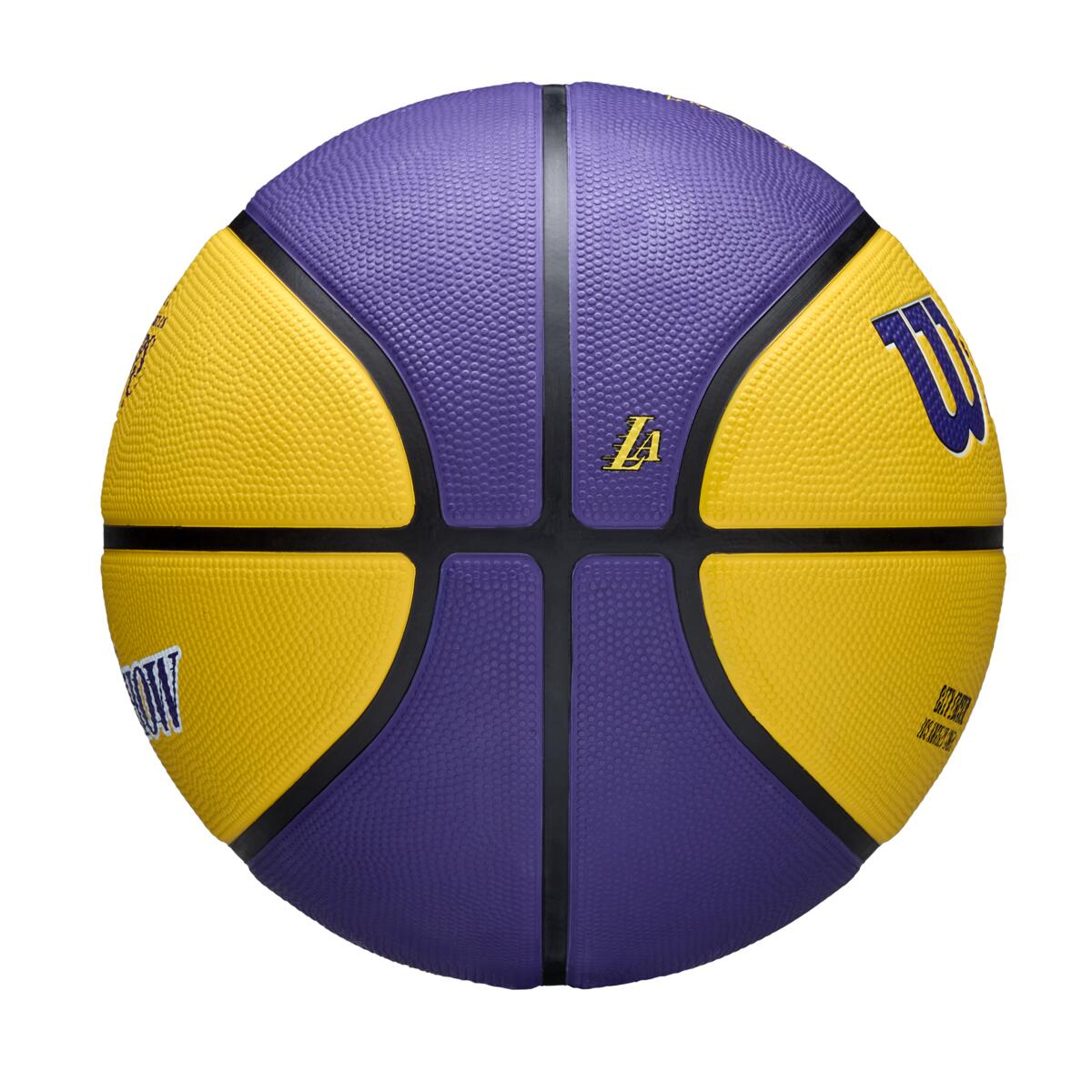NBA00sレイカーズカード（ジャージ、サイン） 23枚セット 24Jカード 上島拓巳 直筆サインカード 55枚限定 : スポーツカード