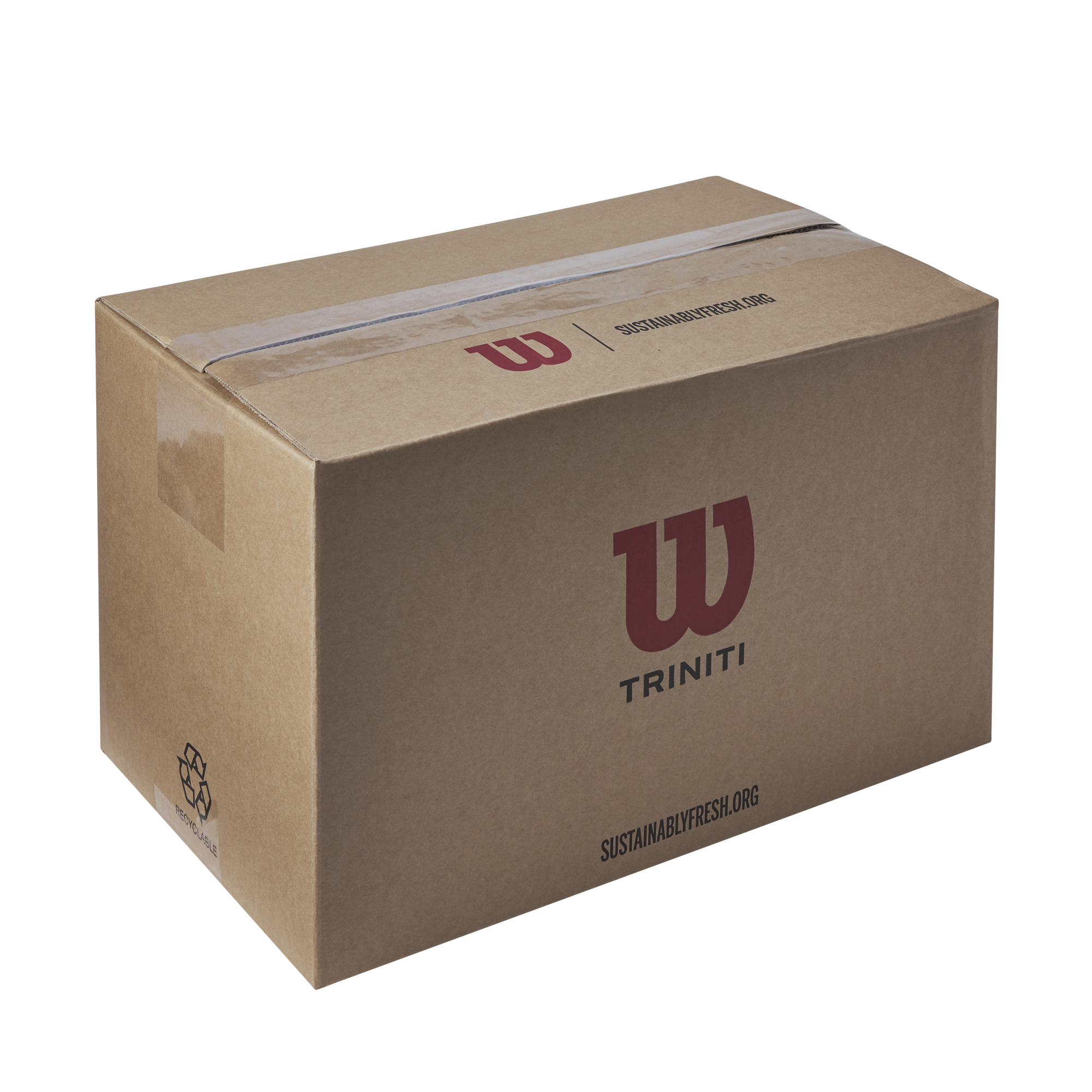 TRINITI CLUB テニスボール 1箱72球入り by Wilson Japan Racquet