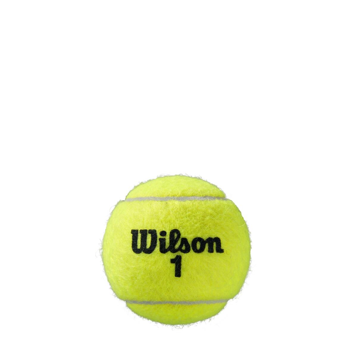 ROLAND GARROS CLAY テニスボール by Wilson Japan Racquet online
