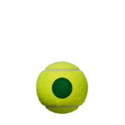 STARTER PLAY GREEN 4 テニスボール