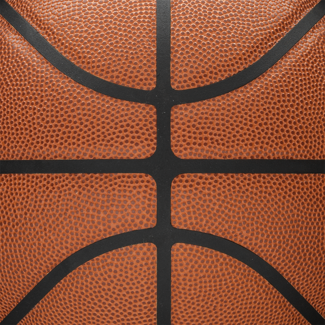 NBA バスケットボール フォージプラス 人工皮革